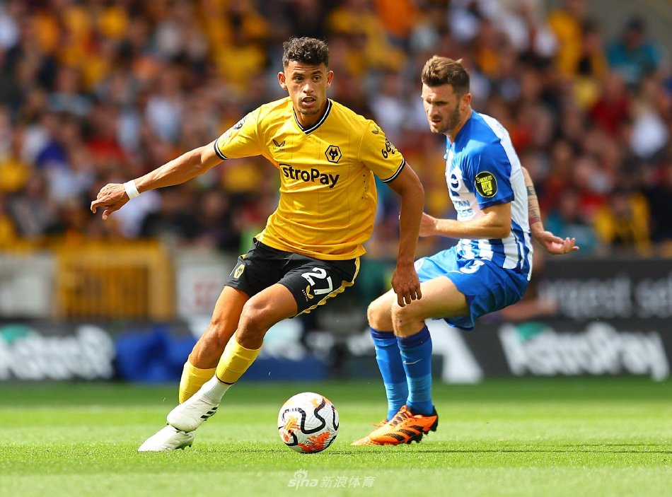 不仅如此 不仅如此